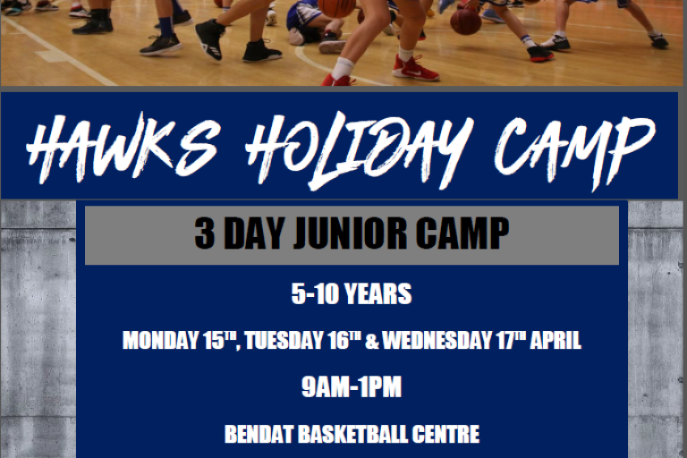 Hawks Holiday Camp